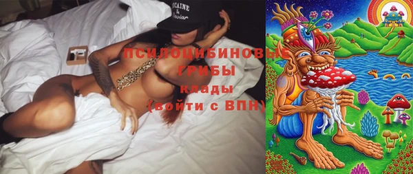 индика Абдулино
