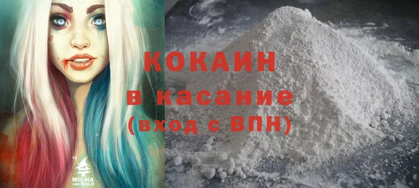 хмурый Абаза