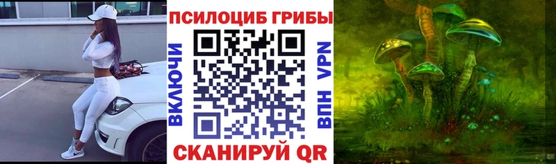 darknet наркотические препараты  Хабаровск  Псилоцибиновые грибы Cubensis  закладки 