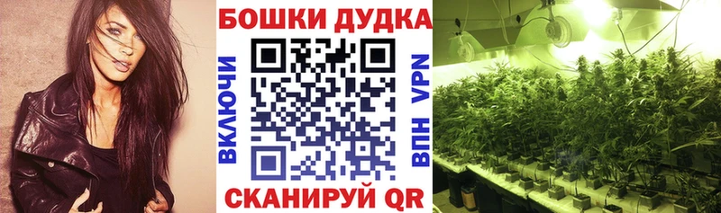 Канабис ГИДРОПОН что такое наркотик blacksprut ONION Хабаровск